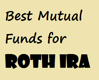 stocks or mutual funds for roth ira